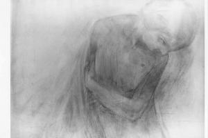 Torso