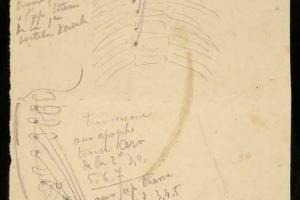Page from the Sketchbook with Figure Studies - 1898