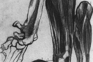 Studies van een leeuwepoot - 1883 - 1888