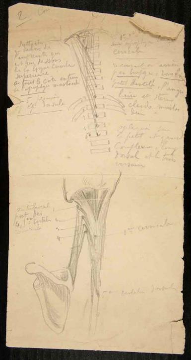 Page from the Sketchbook with Figure Studies - 1898
