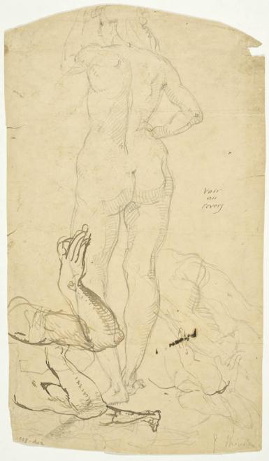 Schetsblad met naaktstudies (verso: Studies van mensen en dieren) - 1883 - 1888